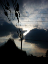 Ciel