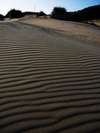 Sable
